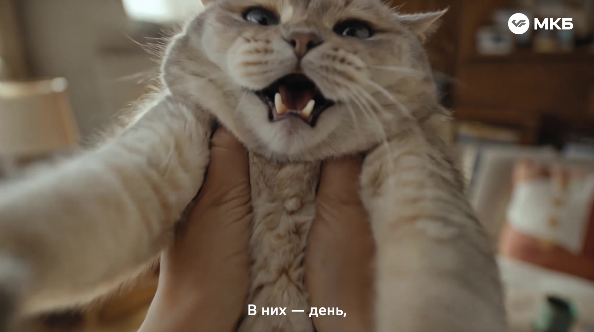 MKB · Hands